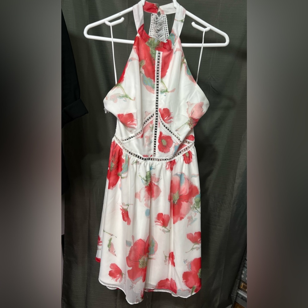 Twosisters White and Red Floral Dress